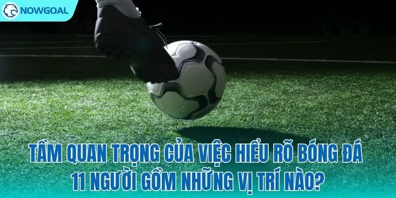 Tại sao cần hiểu rõ sơ đồ 11 người?